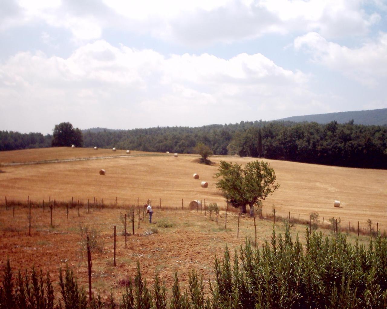 סן ג'ימיניאנו Agriturismo Natura E Salute מראה חיצוני תמונה