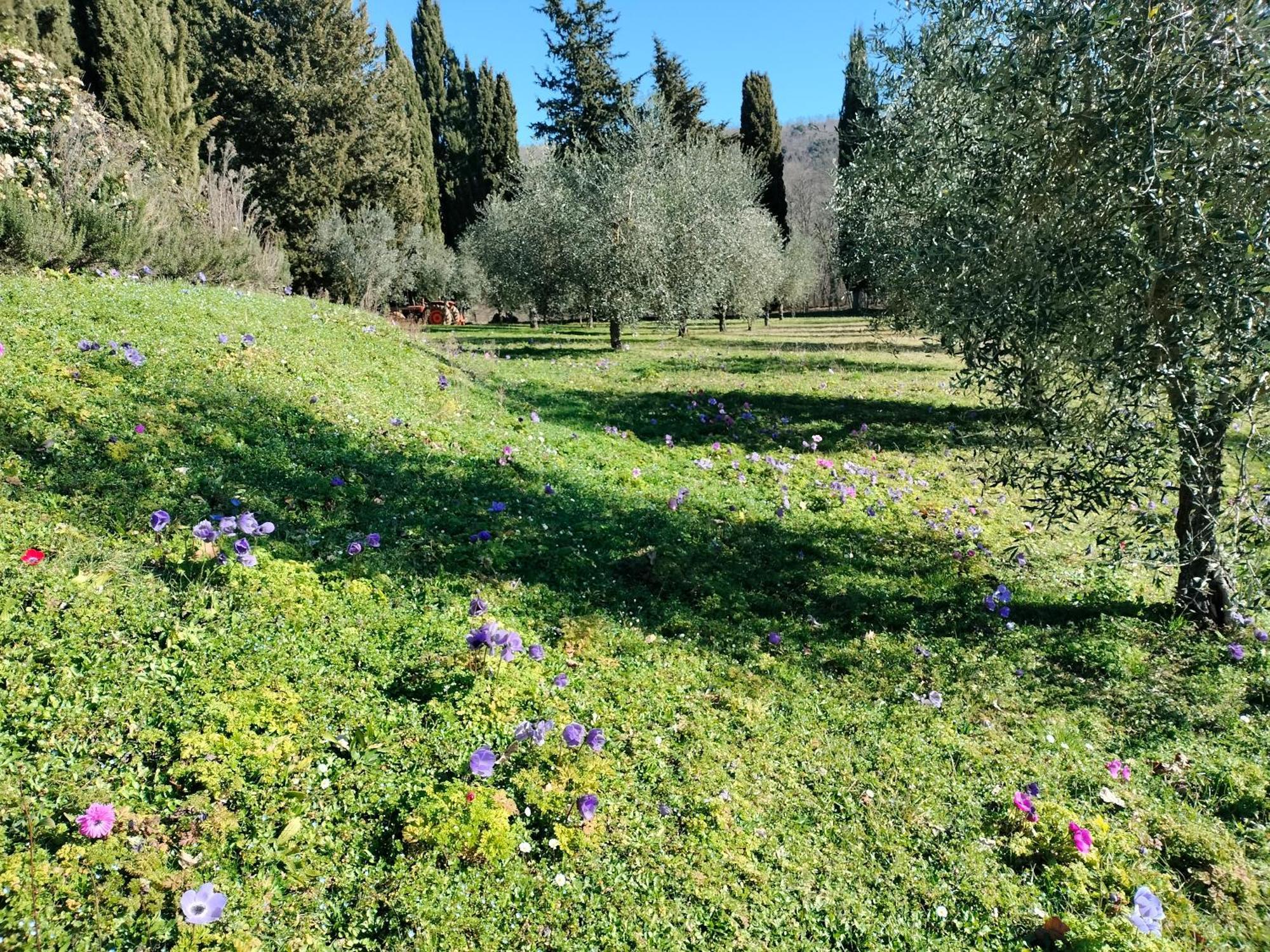 סן ג'ימיניאנו Agriturismo Natura E Salute מראה חיצוני תמונה